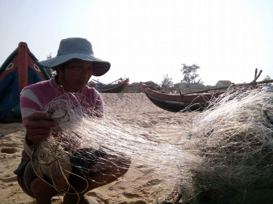 Các thợ lặn bắt đầu lặn xuống biển làm rõ cá chết xếp lớp - 1