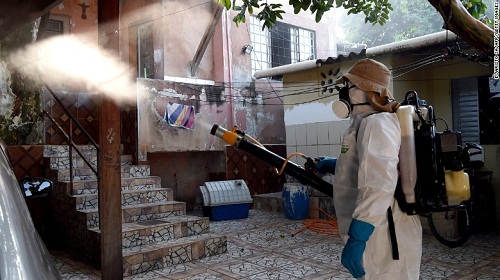 Người Hàn Quốc nhiễm Zika đã làm việc trong trường học ở VN - 2