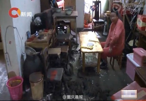 Hãi hùng cụ ông 72 tuổi nuôi... 200 con chuột trong nhà - 2