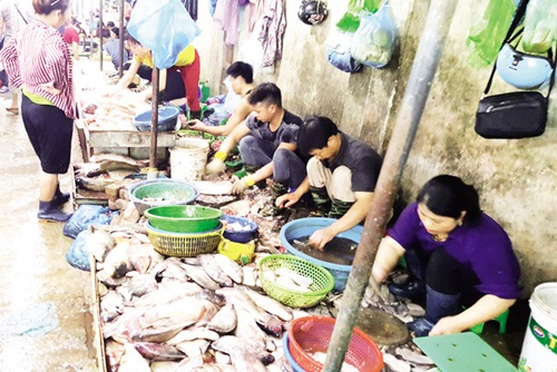 Tấp nập khách #039;săn#039; cá ươn giá rẻ tại chợ thực phẩm Hà Nội - 1