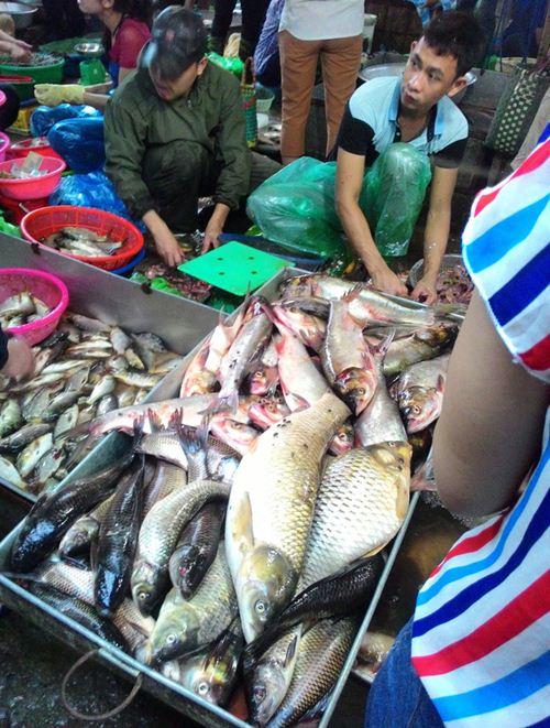 Tấp nập khách #039;săn#039; cá ươn giá rẻ tại chợ thực phẩm Hà Nội - 2