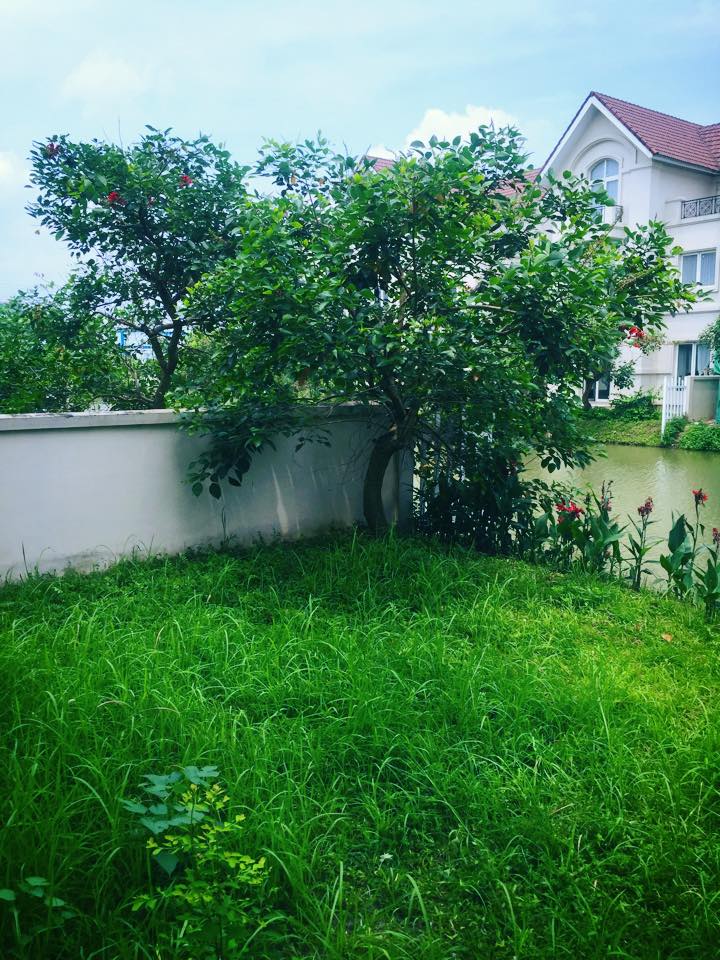 Lã Thanh Huyền hào hứng khoe biệt thự sang có vườn, cạnh sông - 7