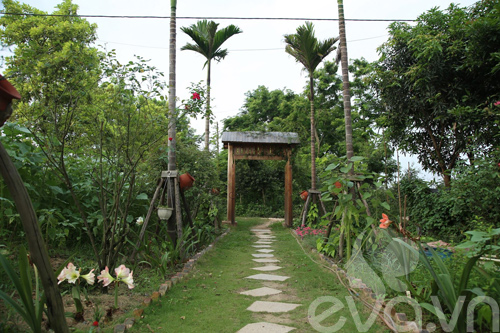 Chàng trai 8x bỏ phố ra ngoại ô làm quot;ngôi nhà hoa hồngquot; - 4