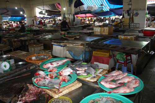 Không có chuyện gà chết do ăn cá biển ở Đà Nẵng - 1