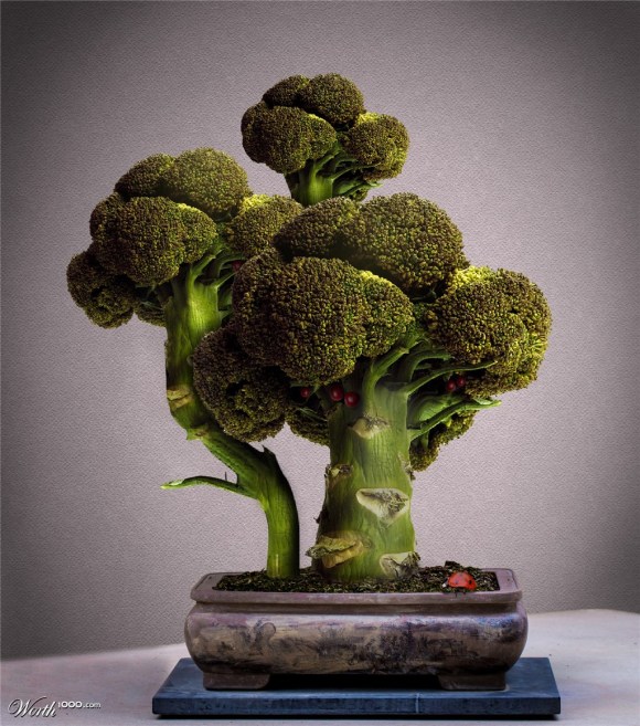 Mê mẩn biến tấu bonsai trồng từ rau, củ, quả - 1