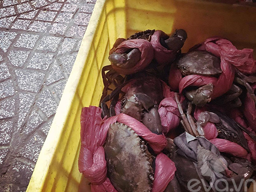 Miến xào cua ngon ngậy khó cưỡng ở Đinh Tiên Hoàng - 2