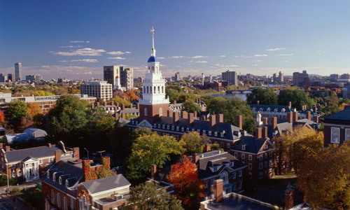 Giấc mơ du học Harvard - 1