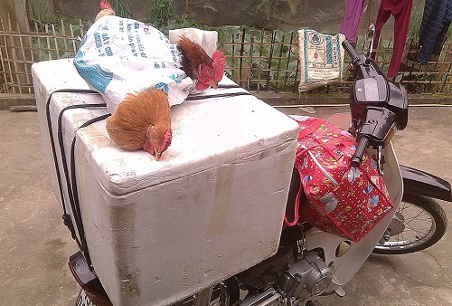 Trữ đông thực phẩm sạch ăn dần liệu có an toàn? - 1