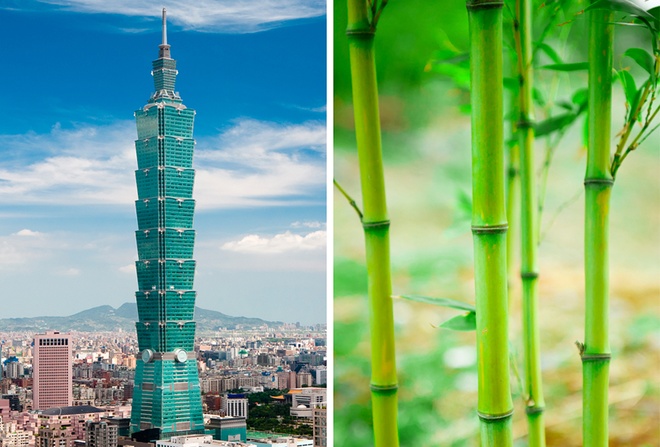 Ngắm nghía top 10 tòa nhà lấy cảm hứng từ vỏ ốc, dưa chuột,... - 1