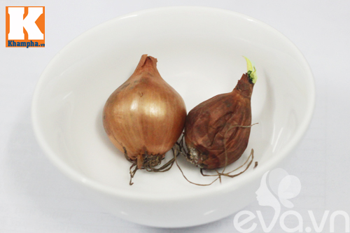 Chuyên gia cảnh báo nguy cơ ung thư từ củ, hạt mọc mầm - 3