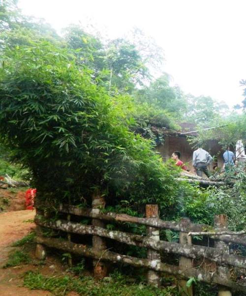 Vợ bị truy sát đến chết, chồng bị chém trọng thương trong đêm - 1