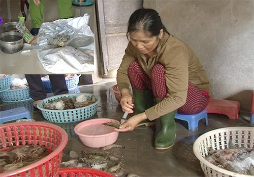 Bơm tạp chất cho tôm xuất ngoại: Bán rẻ khách vẫn bỏ chạy - 1