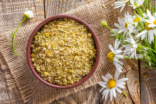 Bạn đồng hành của hệ tiêu hóa sau những bữa ăn khổng lồ - 1