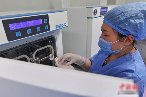 Bộ ảnh tiết lộ bí mật quy trình thụ tinh ống nghiệm - 4