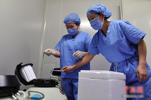 Bộ ảnh tiết lộ bí mật quy trình thụ tinh ống nghiệm - 6