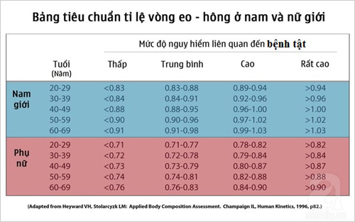 Hai chỉ số “đèn đỏ” cho sức khỏe phụ nữ - 2