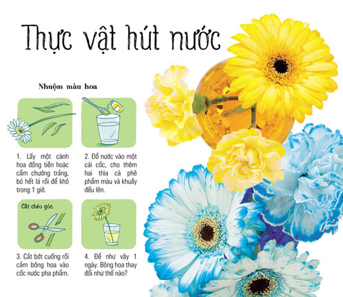 Giúp con mở cánh cửa tri thức với 365 trò chơi khoa học - 2