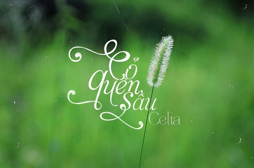 “Cỏ quên sầu”: Một tình yêu ngoài tưởng tượng giữa đời thực - 3