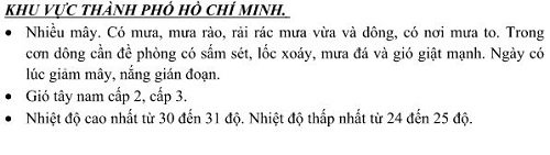 Mưa và gió lớn làm đứt dây điện, cây bật gốc đè người đi đường - 9