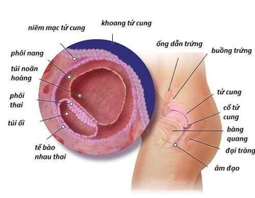 Người phụ nữ lấy 2 đời chồng và nỗi lo không thể có con - 1