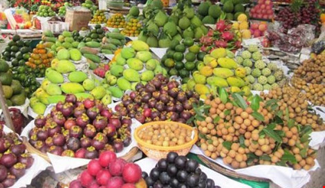 Trái cây Việt thiệt thòi vì bị quot;mượn xácquot; - 1