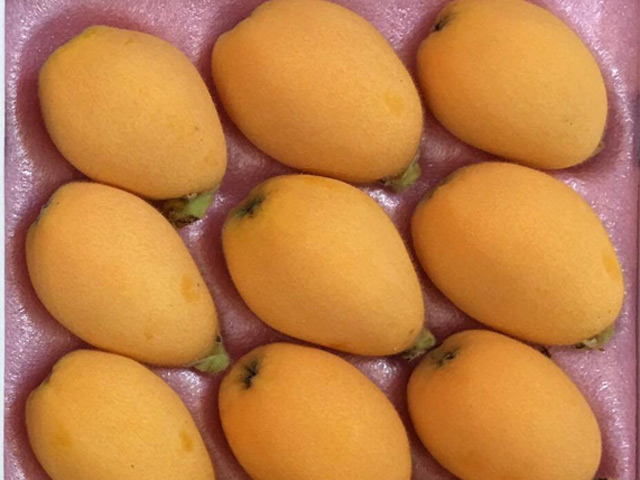 Trái Biwa Nhật 4 triệu/kg: Đắt nhưng vẫn hút khách nhiều tiền