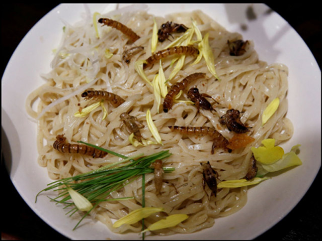 Xếp hàng dài từ sớm để được ăn mì trộn… côn trùng