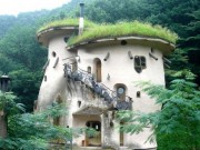 Nhà đẹp - Trồng cây trên mái nhà: Tưởng không hay mà lại hay không tưởng!