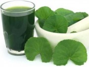 Sức khỏe - Tác dụng đáng sợ của rau má nhiều người chưa biết