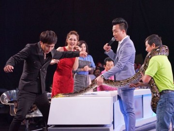 Người bí ẩn 2017: Bảo Anh - Hồ Quang Hiếu hết hồn, trường quay náo loạn vì nghệ sĩ chơi trăn
