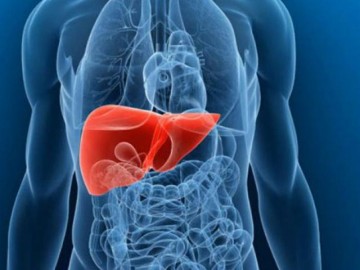 Nếu cứ tiếp tục 6 thói quen này, gan của bạn sẽ gặp nguy hiểm