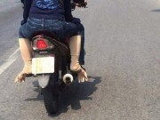 Thời trang - Đây là những hình ảnh thời trang chống nắng "bá đạo" nhất mùa hè năm nay