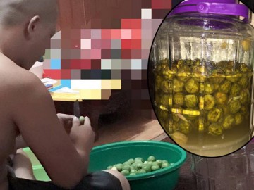 Phát hờn vì anh chồng “hổ báo” cứ mùa sấu là cạo vỏ từng quả làm sấu ngâm đường cho vợ