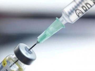 Bị chó mèo cắn vào đâu thì phải đi tiêm vắc xin phòng dại?