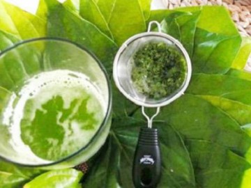 Hàng nghìn chị em chia sẻ nhau cách chữa viêm nhiễm phụ khoa bằng lá bàng