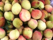 Sức khỏe - Thực hư tác dụng của quả đào rất nhiều người đang hiểu sai