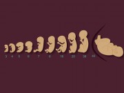 Bà bầu - Hành trình 9 tháng kỳ diệu từ khi trứng gặp gỡ tinh trùng diễn ra như thế nào?