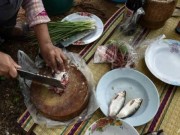 Sức khỏe - Từ chuyện ăn cá sống gây ung thư gan nên từ bỏ thói quen ăn thực phẩm sống