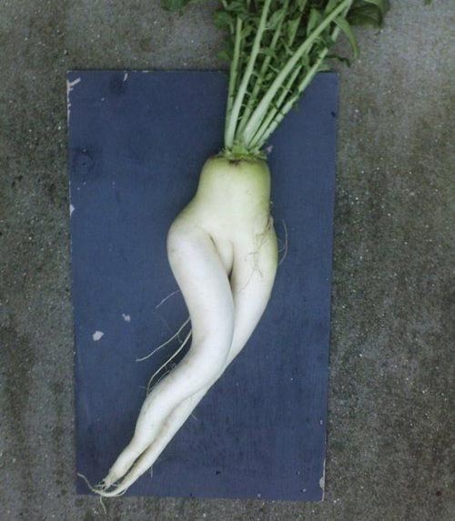 Món ăn #039;sexy#039; ngon khó cưỡng - 5