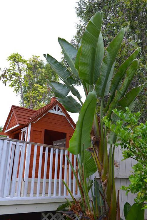 Thu Phương, Mỹ Linh thích thú trồng rau sạch tại nhà - 10