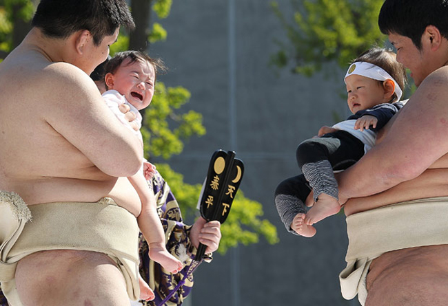 Ở Nhật Bàn hàng năm, người ta thường tổ chức lễ hội Naki Sumo - một lễ hội đặc biệt dành cho trẻ em
