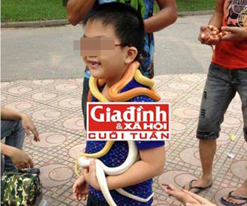 Đánh đu sinh mạng với những thú cưng tiền tỉ - 1