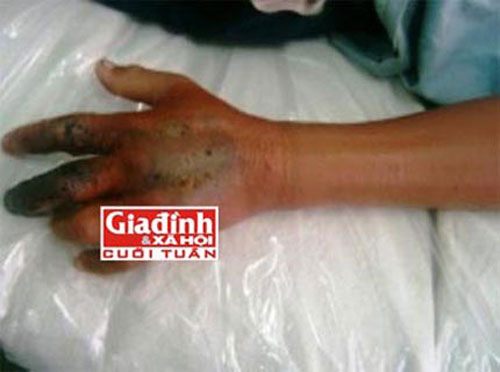 Đánh đu sinh mạng với những thú cưng tiền tỉ - 5
