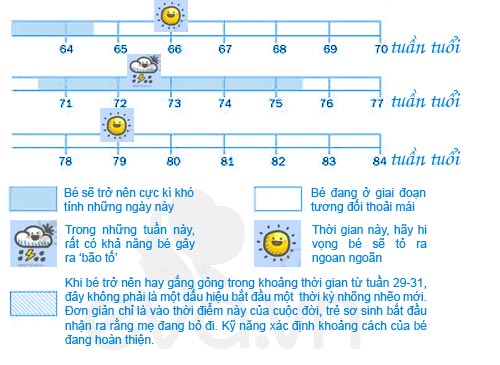 Dự báo 10 thời điểm quot;hưquot; nhất của trẻ - 3