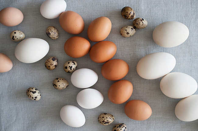Trứng

Trứng phổ biến, rẻ tiền và rất nhiều dưỡng chất. Loại thực phẩm này chứa nhiều protein và choline - một vitamin cần thiết đã được chứng minh để thúc đẩy sự phát triển não bộ. Trứng cũng chứa đầy đủ các dưỡng chất như lutein, zeaxanthin, chất chống oxy hóa thúc đẩy sự phát triển mắt thai nhi.
