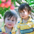 Làm mẹ - Siêu mẫu nhí: Bé Xu và chùm vải
