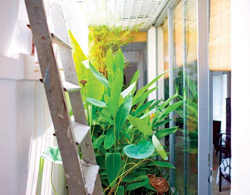 Soi quot;sát sạtquot; nhà 3 MC nữ tài sắc - 17