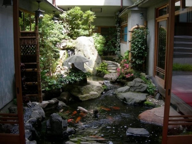 Không gian vườn đậm chất Nhật với ao cá Koi (Cá chép Nhật) bơi lội tung tăng.
