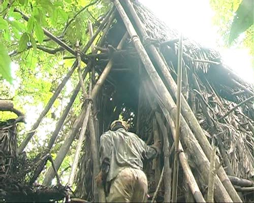 “Người rừng” trở về và… trở bệnh - 4
