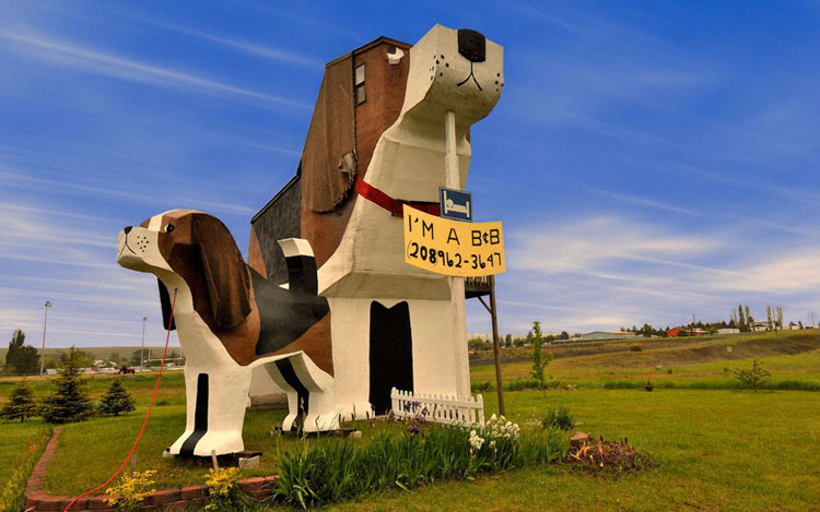 Khách sạn Dog Bark Park Inn ở Idaho có kiến trúc thô sơ, được tạo nên bởi điêu khắc. Thật khó để miêu tả về công trình đầy sai lầm này.
